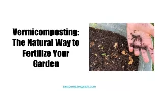 Vermicomposting The Natural Way to Fertilize Your Garden