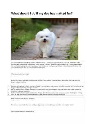 what should i do if my dog has matted fur