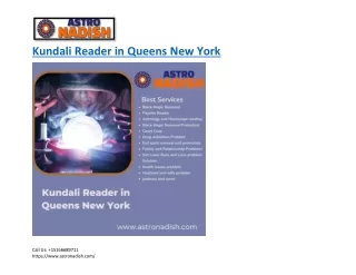 Kundali Reader in Queens NY - Astronadish