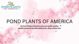 Pond Plants Of America