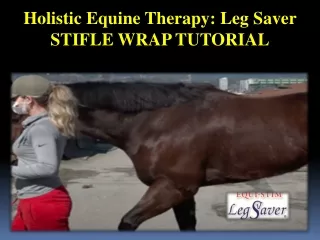 Holistic Equine Therapy - Leg Saver STIFLE WRAP TUTORIAL