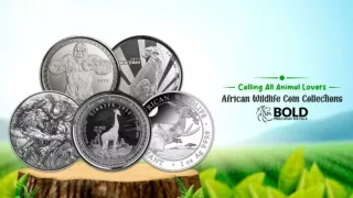 African Wildlife Coin Collection