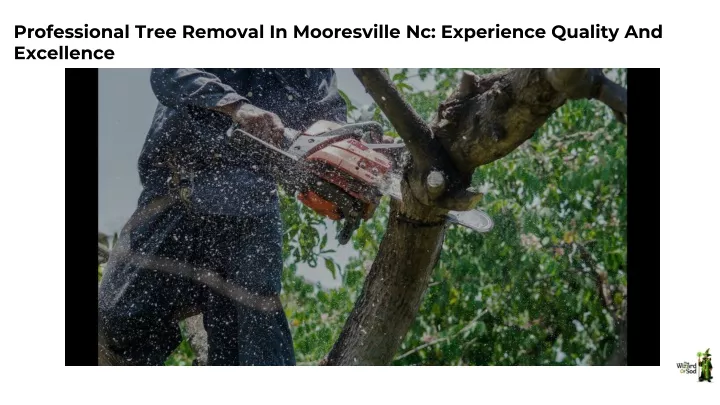 professional tree removal in mooresville