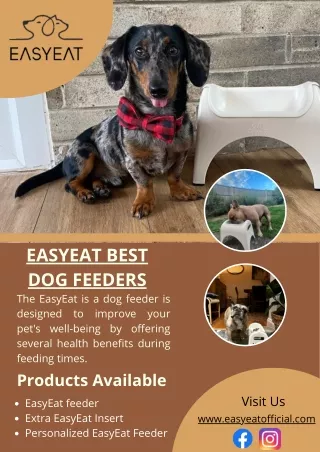 EasyEat's Best Dog Feeders