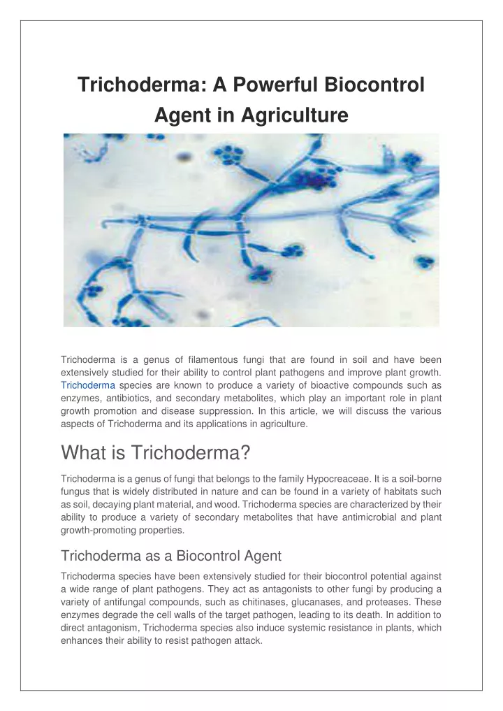 trichoderma a powerful biocontrol agent