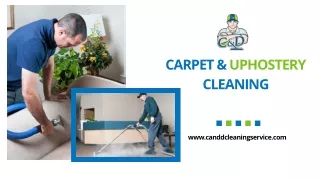 Carpet & Upholstery Cleaning Near Me in Long Island