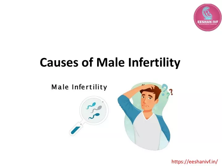 PPT - Causes of Male Infertility PowerPoint Presentation, free download ...