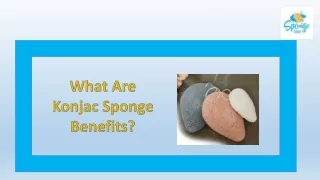 What Are Konjac Sponge Benefits?