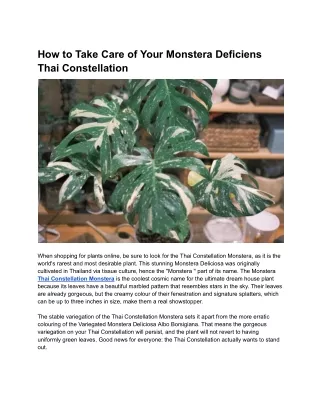 How to Take Care of Your Monstera Deficiens Thai Constellation