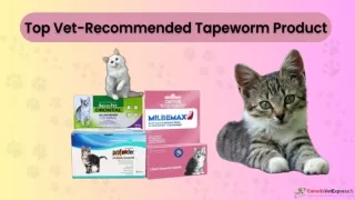 Top Vet-Recommended Tapeworm Products