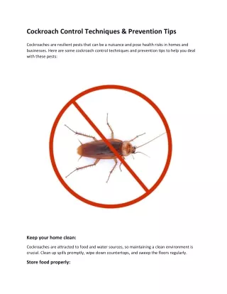 Cockroach Control Techniques & Prevention Tips