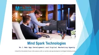 Mind Spark Technologies Software Development Company FL OL USA
