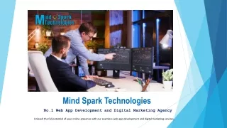 mind spark technologies
