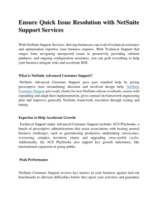 Ensure Quick Issue Resolution with NetSuite Support Services