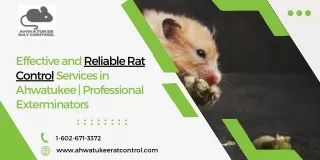 Effective and Reliable Rat Control Services in Ahwatukee  Professional Exterminators
