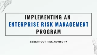 implementing an enterprise risk management program