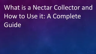 What is a Nectar Collector and How to Use it A Complete Guide
