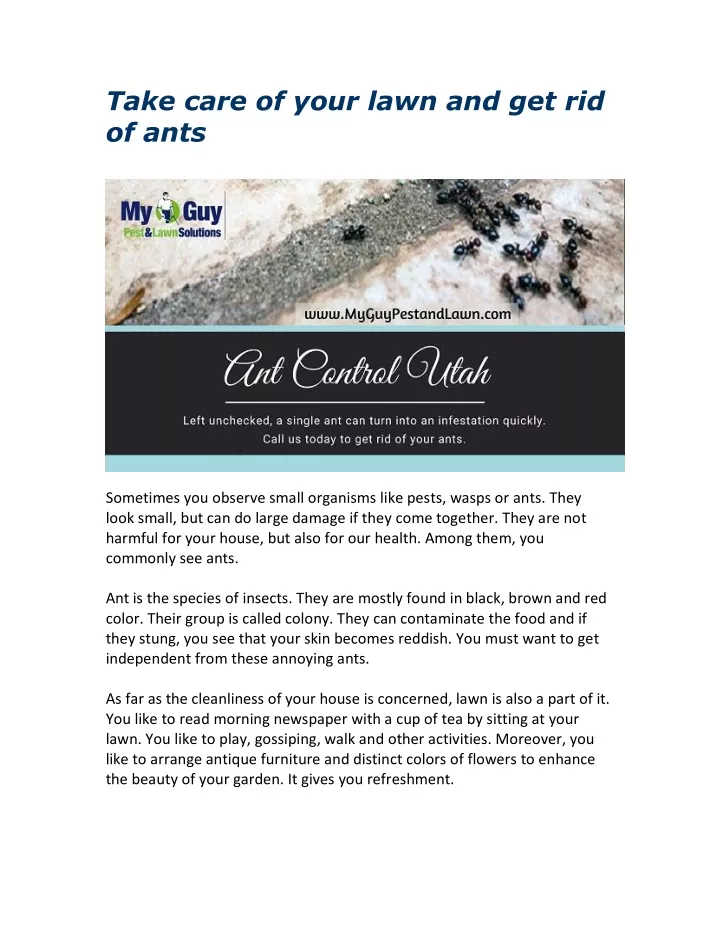 take care of your lawn and get rid of ants