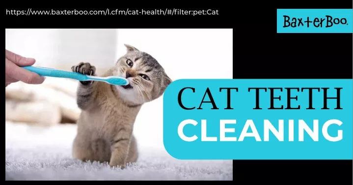 https www baxterboo com l cfm cat health filter