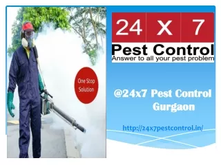 Best Pest Control Company in Delhi And Gurgaon