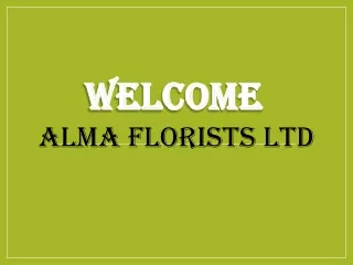 welcome