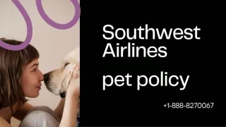 Southwest Airlines Pet Policy - What You Need To Know Just Dial  1-888-826-0067