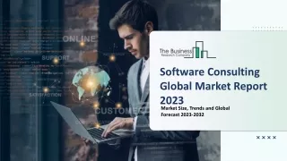 software consulting global market report 2023