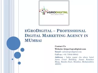 Best-Digital-Marketing-Services-Avail-Online-EgroDigital