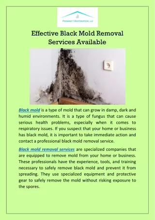 Effective Black Mold Removal Services Available