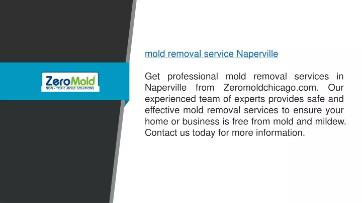 mold removal service naperville get professional