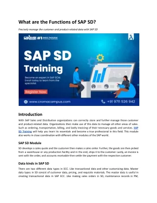 What are the Functions of SAP SD?