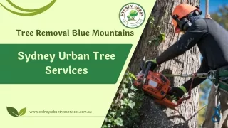 Tree Removal Blue Mountains