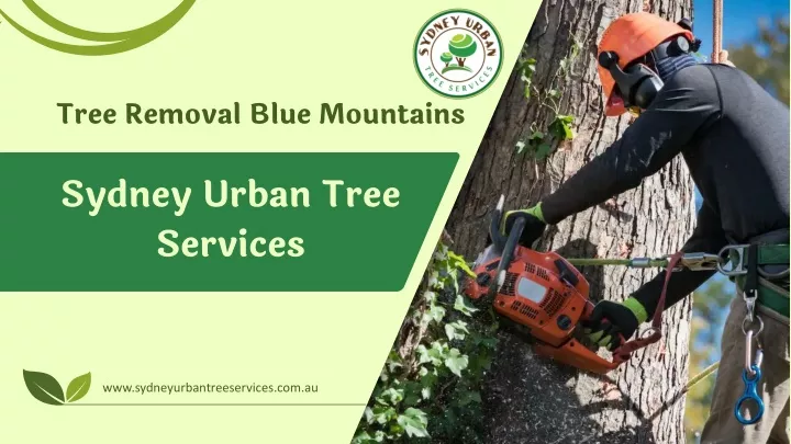 tree removal blue mountains