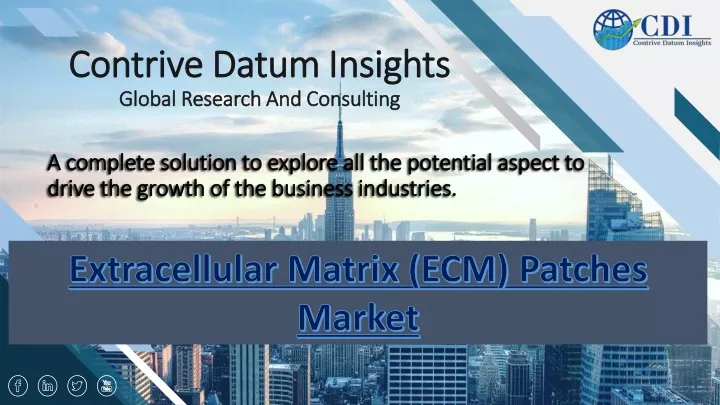 contrive datum insights global research