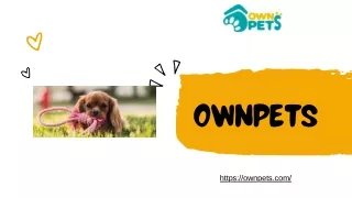 OwnPets Puppy Training Pads: A Clean and Easy Solution