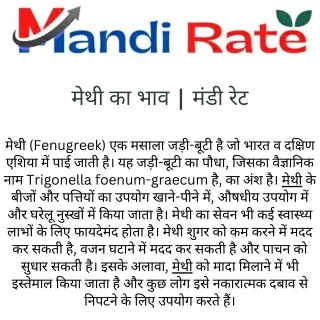मेथी का भाव  मंडी रेट