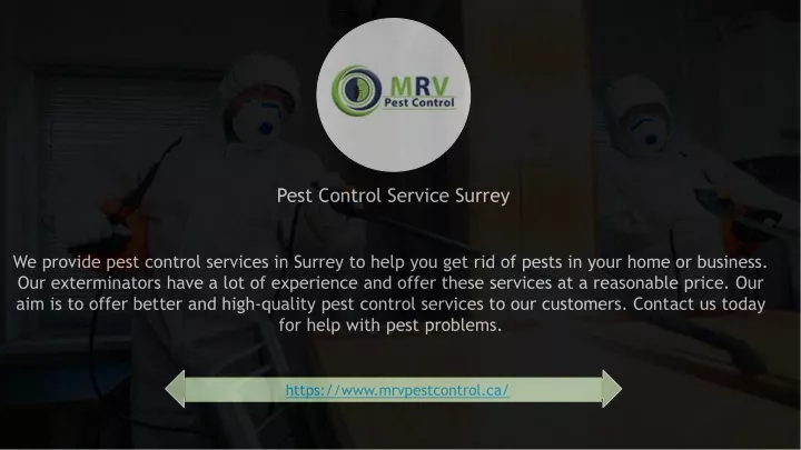 we provide pest control services in surrey