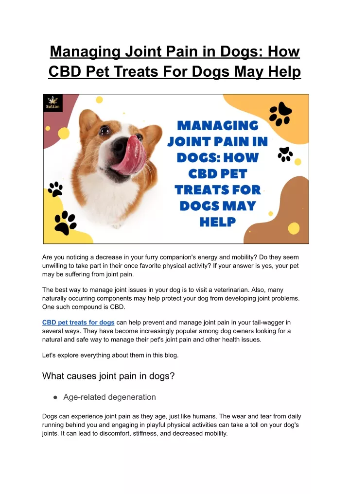 managing joint pain in dogs how cbd pet treats