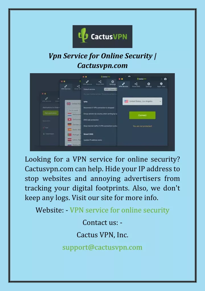 vpn service for online security cactusvpn com