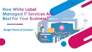 How White Label Managed IT Services Are Best For Your Business