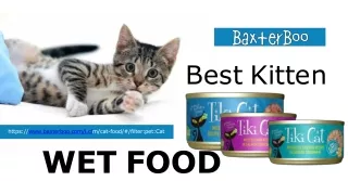 Purr-fect Nutrition: The Best Kitten Wet Food by BaxterBoo
