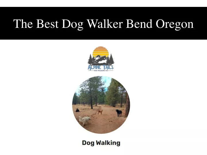 the best dog walker bend oregon