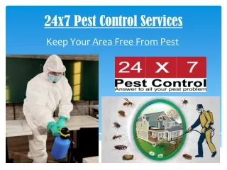 24x7 Pest Control Services
