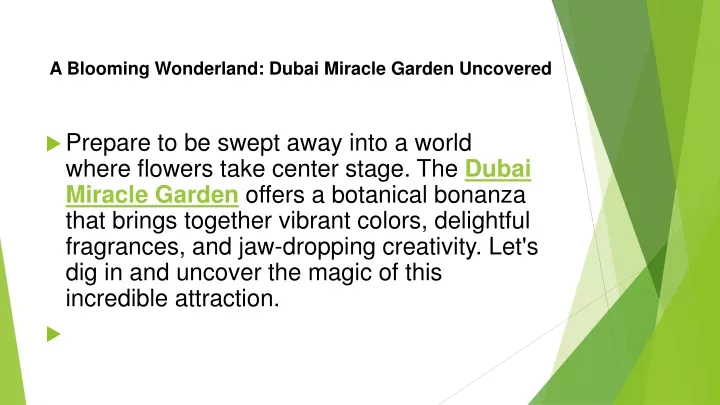 a blooming wonderland dubai miracle garden uncovered