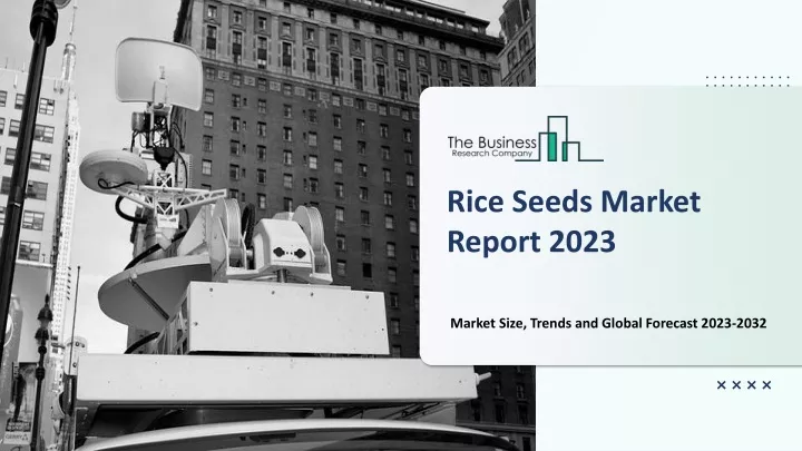 rice seeds market report 2023