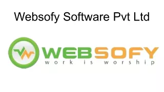 Best Digital Marketing Company in Lucknow - Websoft Software Pvt . Ltd