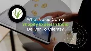 what value can a shopify expert in india deliver to clients