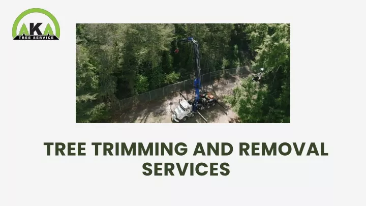 tree trimming and removal services