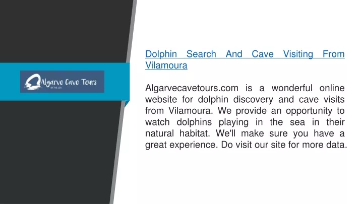 dolphin search and cave visiting from vilamoura