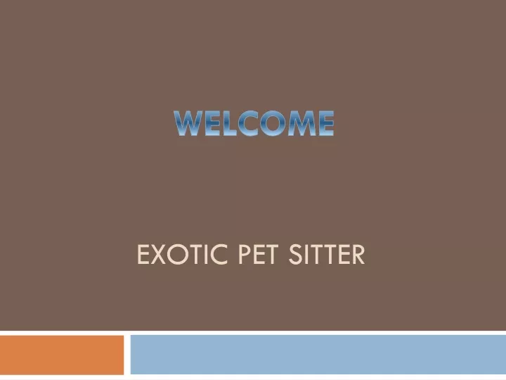 exotic pet sitter